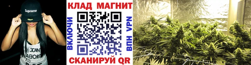 Купить наркотик Асино Псилоцибиновые грибы  OMG как зайти  КОКАИН  A-PVP  ГАШ 