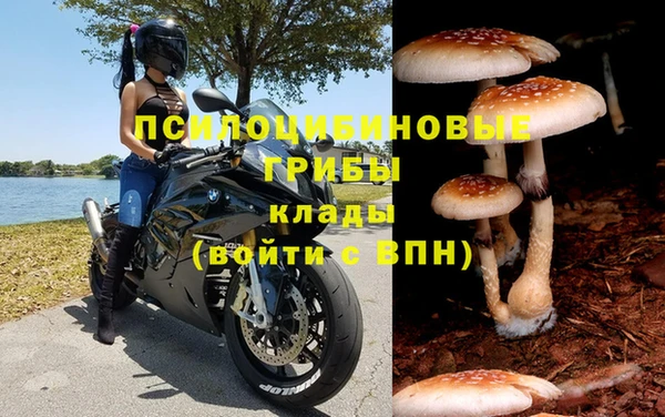 стафф Алексин