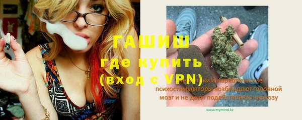 индика Семёнов