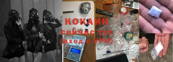 индика Семёнов